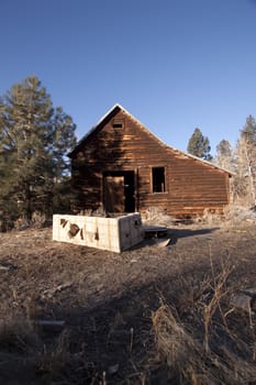 an old abandoned barn or cabin in the forest