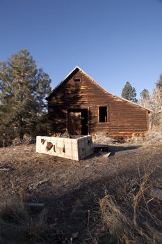 an old abandoned barn or cabin in the forest