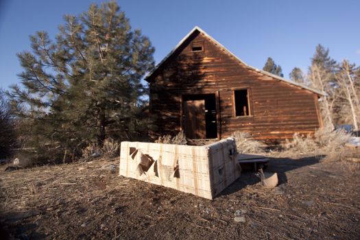 an old abandoned barn or cabin in the forest