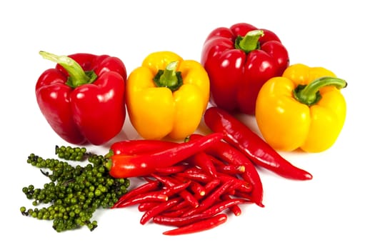 Mix chili and pepper on the white background