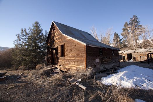 an old abandoned barn or cabin in the forest