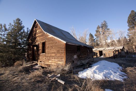 an old abandoned barn or cabin in the forest