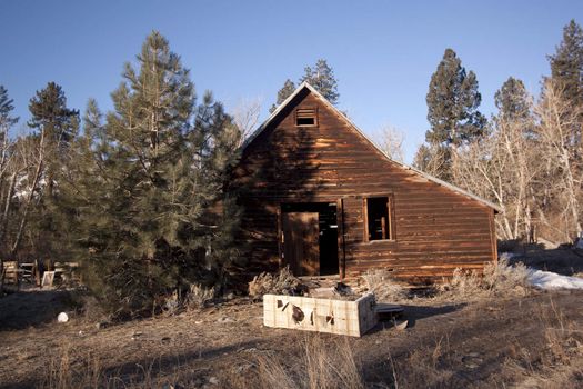 an old abandoned barn or cabin in the forest