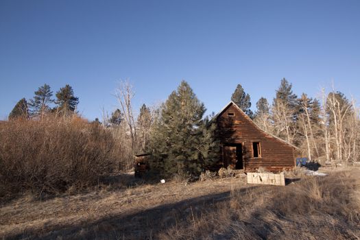 an old abandoned barn or cabin in the forest