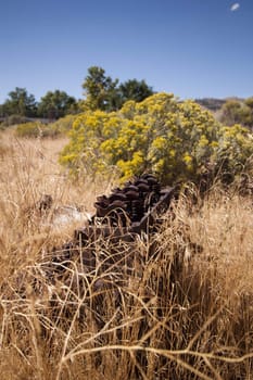 Old rusty engine block abandoned in the field.
