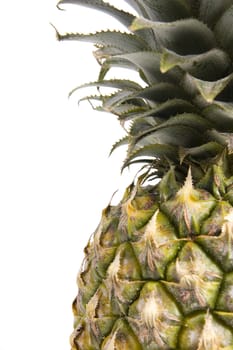 Close up of a pineapple tropical fruit