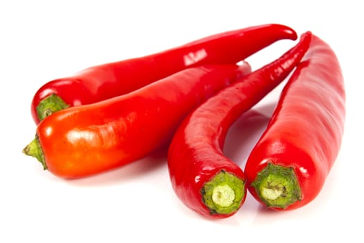 Fresh red hot pepper on a white background