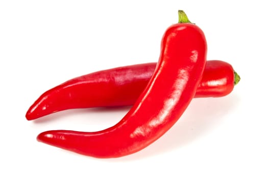 Fresh red hot pepper on a white background