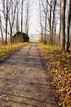 Rural autumn view. Gravel road and abandoned house near it. Trees without leaves.