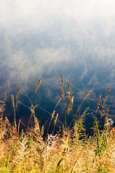 Foggy morning on the river. A beautiful flying weather