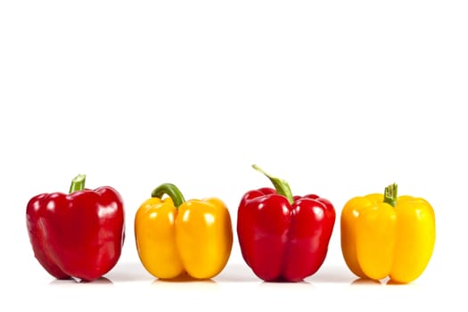 Yellow and red bell pepper on white background with blank text copy space