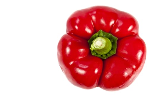 Top view of red bell pepper on white background with blank text copy space