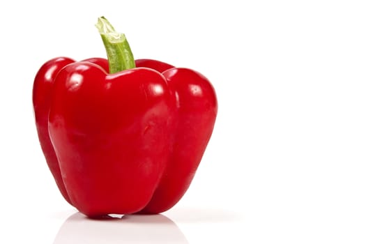 Red bell pepper on white background with blank text copy space