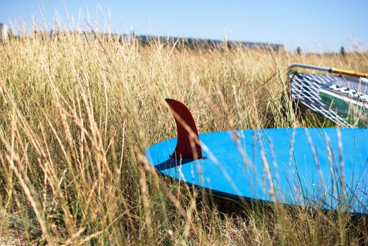 blue windsurf board and a wing laying in grass