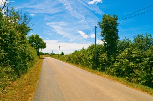 French country road in summer