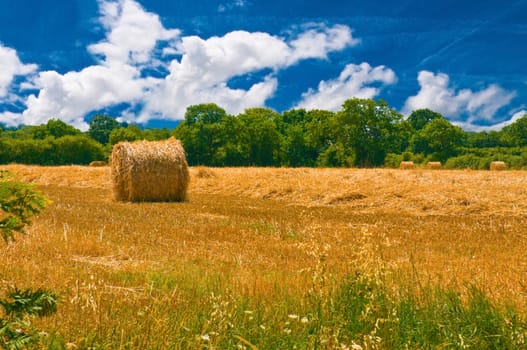View onto a hay field with bales