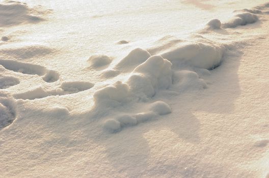 Covered track in the snow