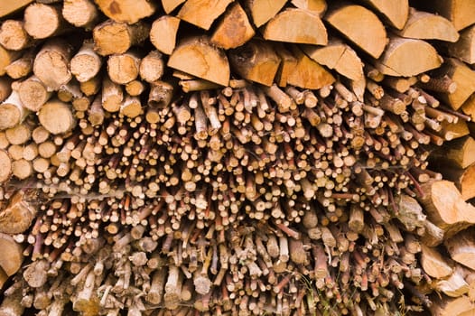 Stacked logs of fire wood