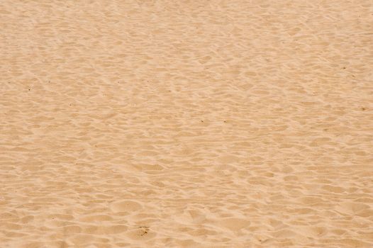 Beach sand with dirt and rubbish