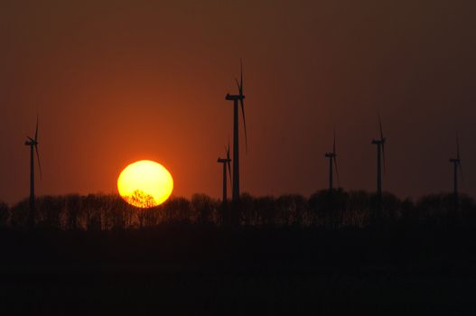 Wind turbines and setting sun