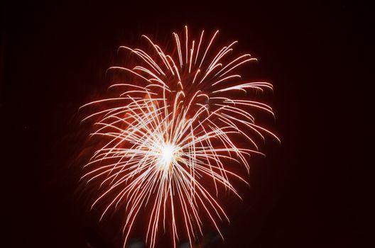 Exploding Arial fireworks on black sky