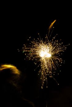 Exploding Arial fireworks on black sky