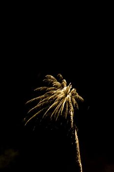 Exploding Arial fireworks on black sky