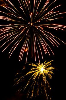 Exploding Arial fireworks on black sky