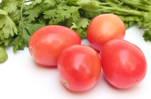 Group of tomato beside coriander vegetable on white background