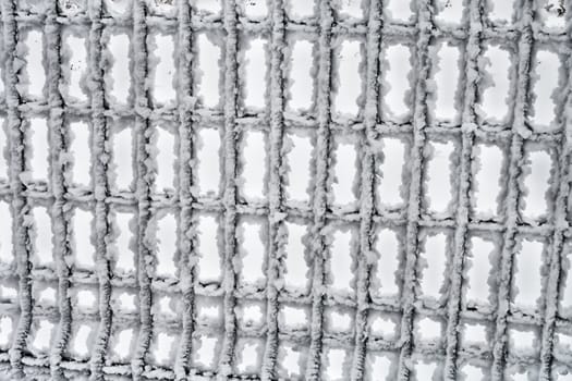 Iron lattice fence covered with frost kotorgo cells .
