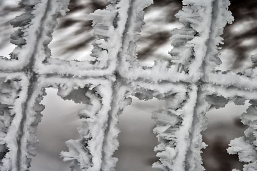 Iron lattice fence covered with frost kotorgo cells .