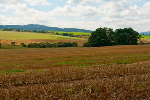 Rural Landscape - Harvested Agricultural Field and Blue Sky