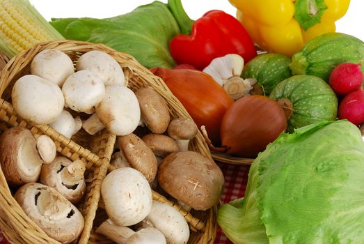 Mushrooms and vegetables mix including  corn, radish, sweet peppers, garlic, onion, lettuce  and squash