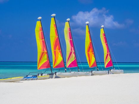 Catamaran sailboats on white sandy beach