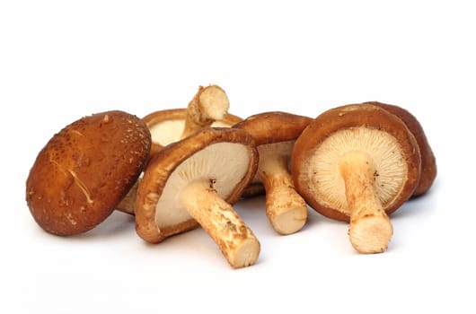 Fresh mushroom isolated on white background