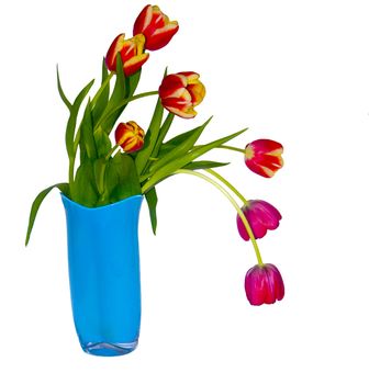 The image of a bouquet of tulips