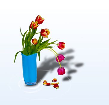 The image of a bouquet of tulips in a vase and their shadow