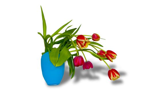 The image of a bouquet of tulips in a vase and its shadow