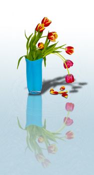 The image of a bouquet of tulips in a vase and its shadow