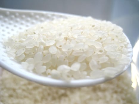 close up for a spoon of rice