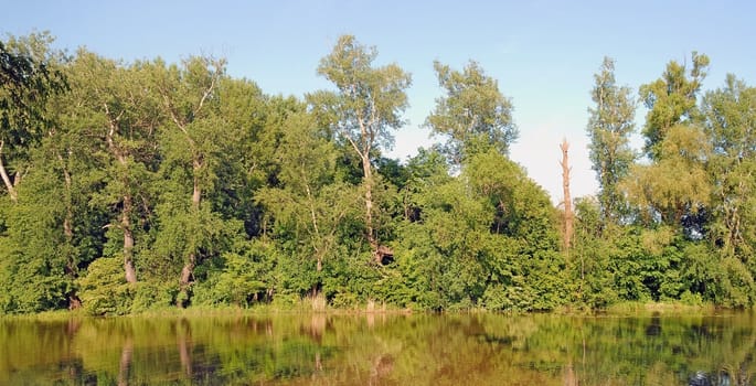 Trees reflekted in the water. Summer view. Lake in Wilanow near Warsaw.