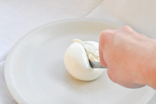 Cook hand cutting traditional Italian mozzarella di bufala (buffalo mozzarella) cheese made from buffalo milk