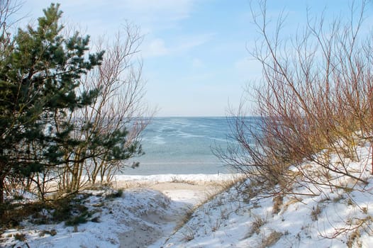 The beach on the Baltic Sea in the winter