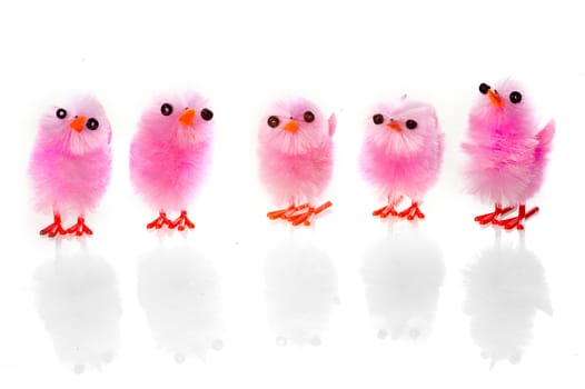 five pink easter chicken in a row