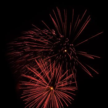 Fireworks Against the Night Sky Isolated on Black