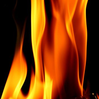 fire on black close up abstract background