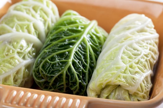 Close-up of three stuffed cabbage leaves