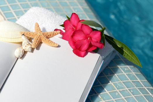 open book, shellfish and white towel beside a pool