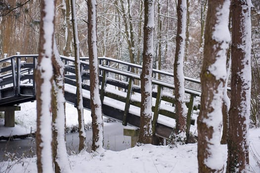 a bridge over a pond in a park, with trees