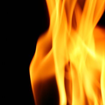 fire flame close up on black background
